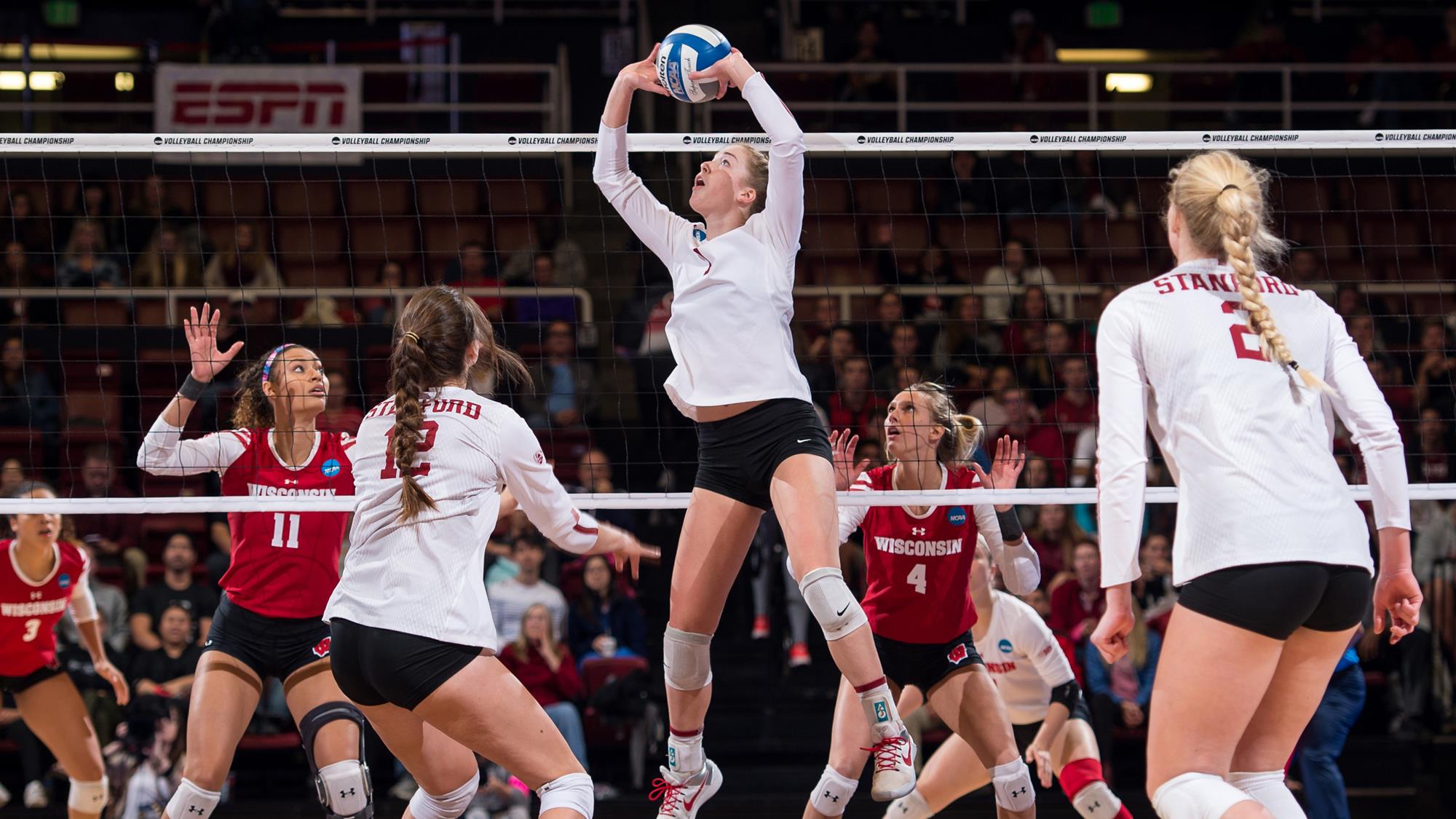 College Volleyball an incredibly popular sport in the USA! Slamstox