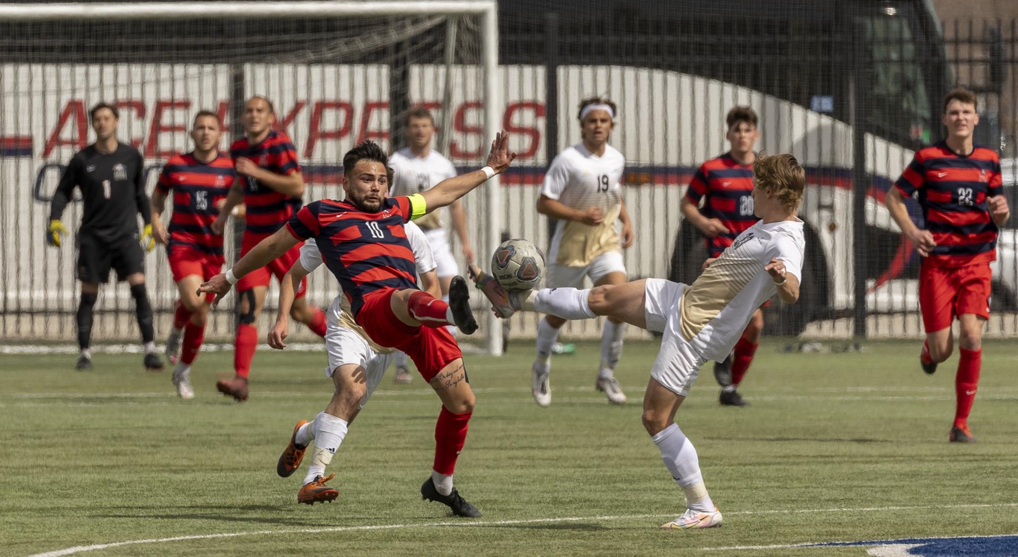 Polk State celebrates 50th anniversary of Title IX